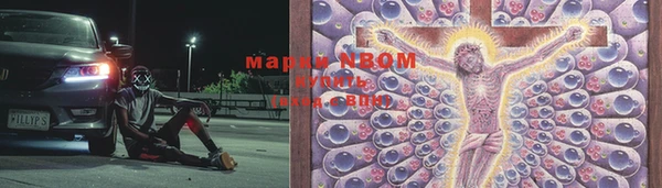 шишки Нязепетровск