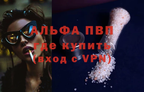 ешки Новодвинск