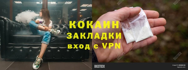 ешки Новодвинск