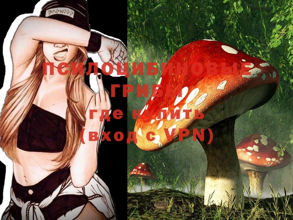 ешки Новодвинск