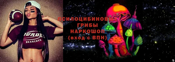 шишки Нязепетровск