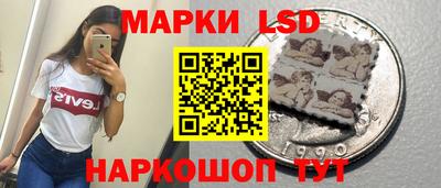 мдпв Донской