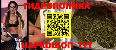 PSILOCYBIN Дубна