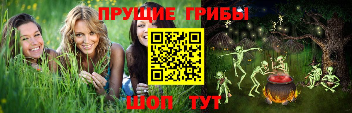 Псилоцибиновые грибы Cubensis Урюпинск